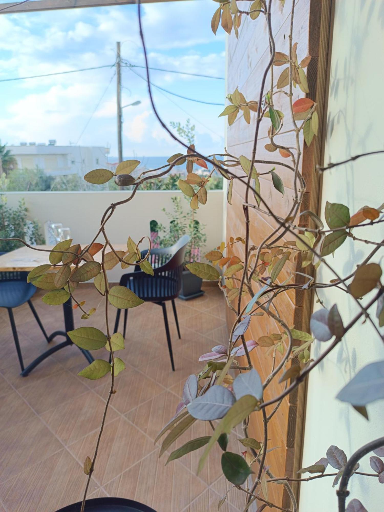 Giodriana Cozy Studio Agia Marina المظهر الخارجي الصورة